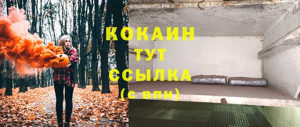 прущая мука Богородицк