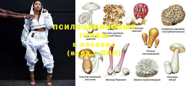 соль ск Бронницы