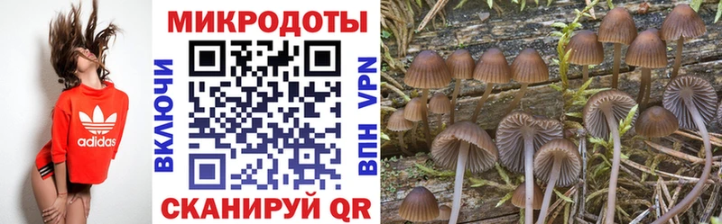 Псилоцибиновые грибы ЛСД  Вяземский 