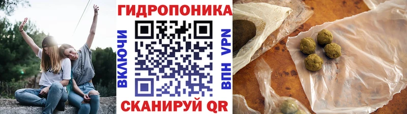 Марихуана White Widow  купить наркотик  Вяземский 